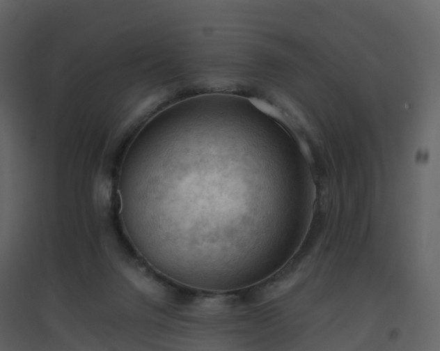 X0000096640072200802121119