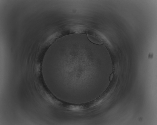 X0000096640073200802121119