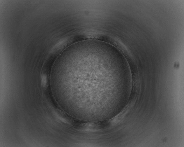 X0000096640074200802121119