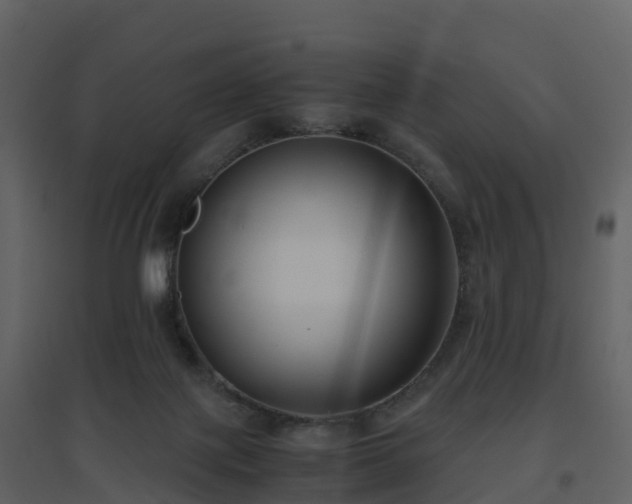 X0000096640075200802121119