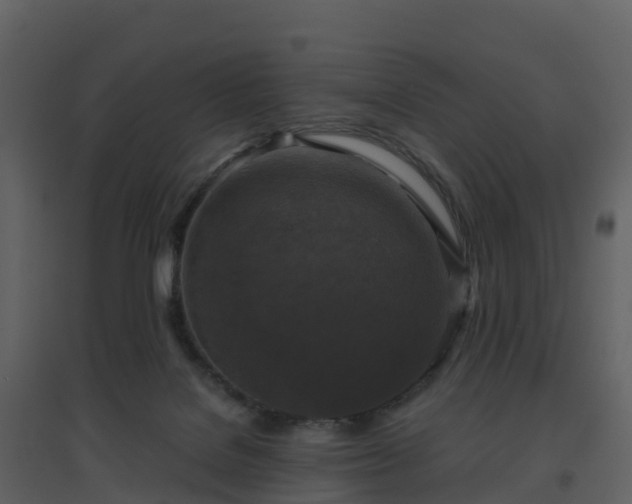 X0000096640076200802121119