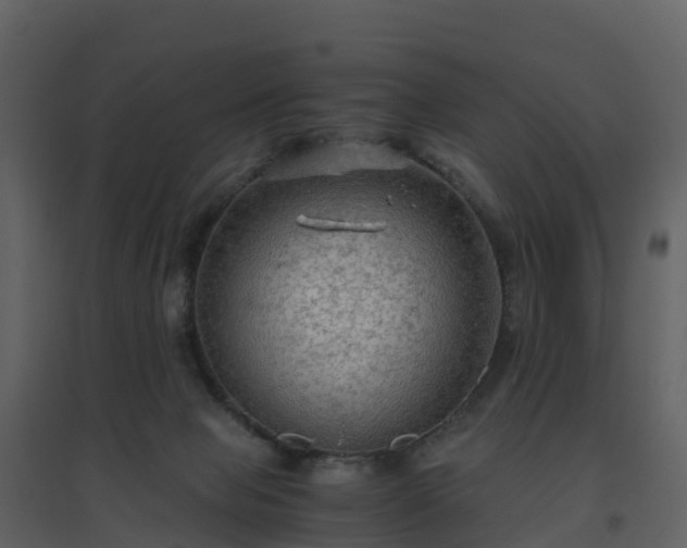 X0000096640077200802121119