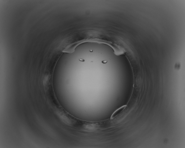 X0000096640079200802121119