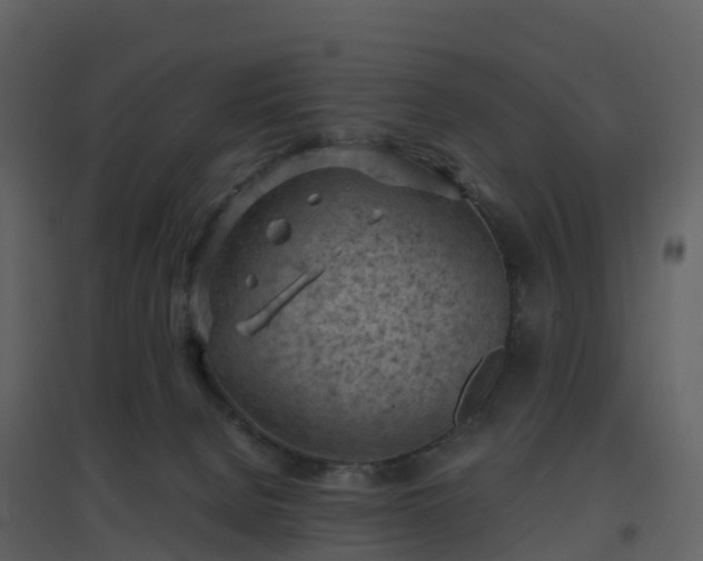 X0000096640080200802121119