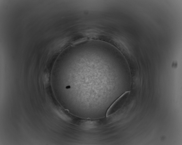 X0000096640081200802121119