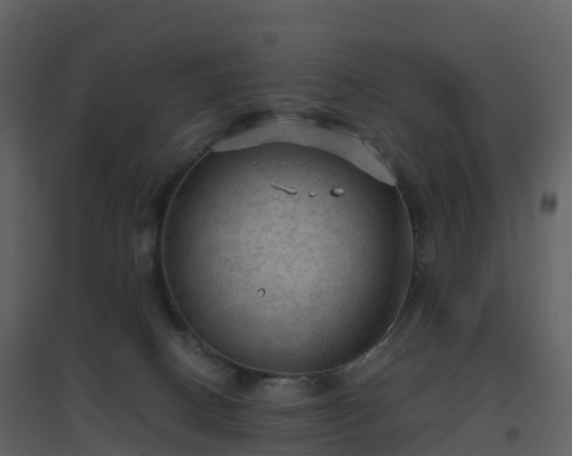 X0000096640082200802121119