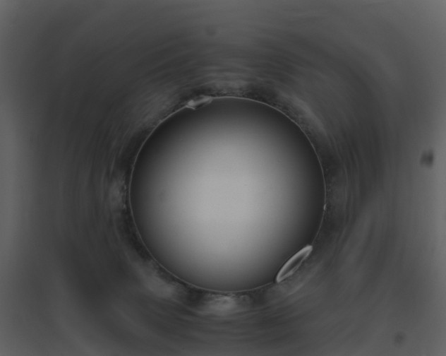 X0000096640083200802121119