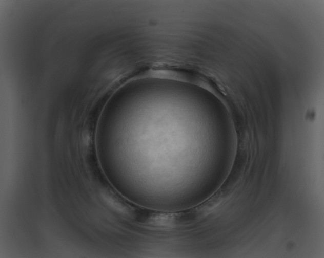 X0000096640084200802121119