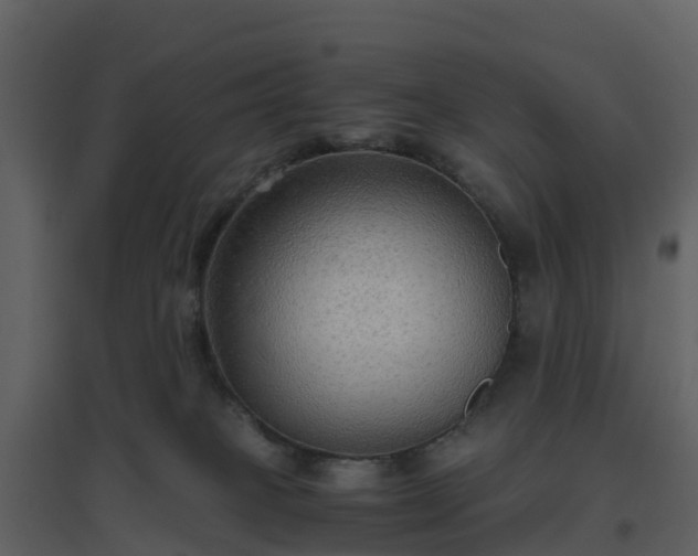 X0000096640085200802121119