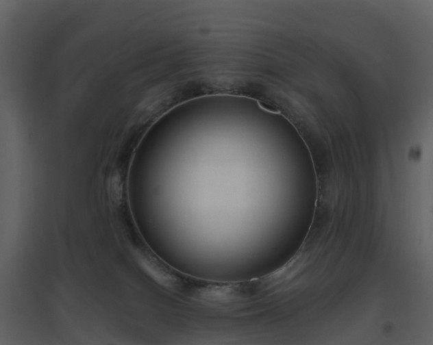 X0000096640086200802121119