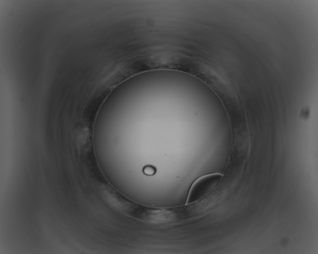 X0000096640087200802121119