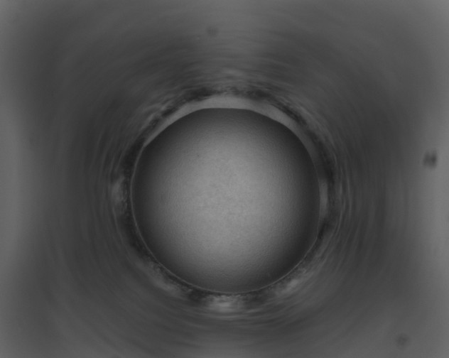 X0000096640088200802121119