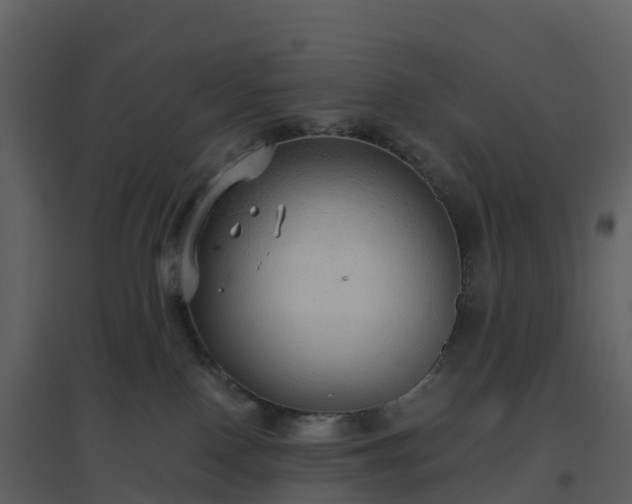 X0000096640090200802121120