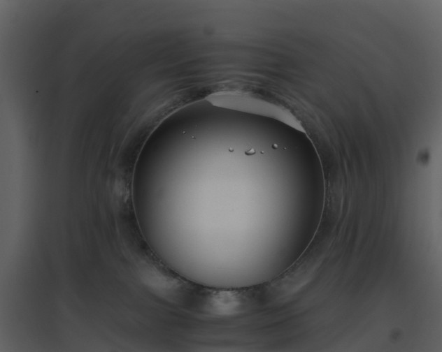 X0000096640091200802121120