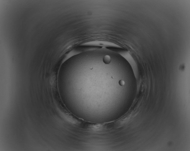 X0000096640092200802121120