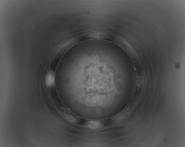 X0000096640095200802121120