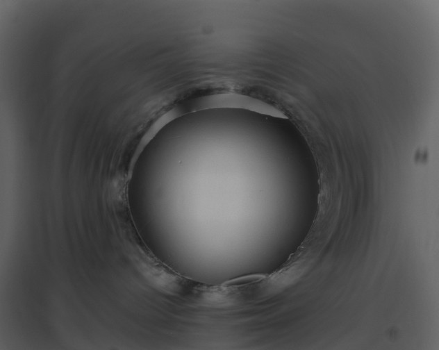 X0000096640096200802121120