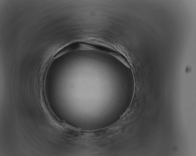 X0000096640097200802121119