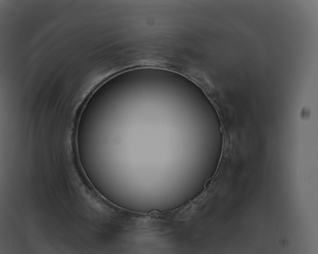 X0000096640098200802121119