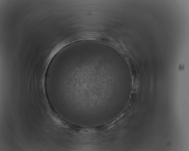 X0000096640099200802121119