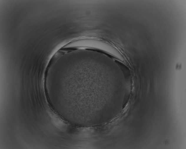 X0000096640100200802121119