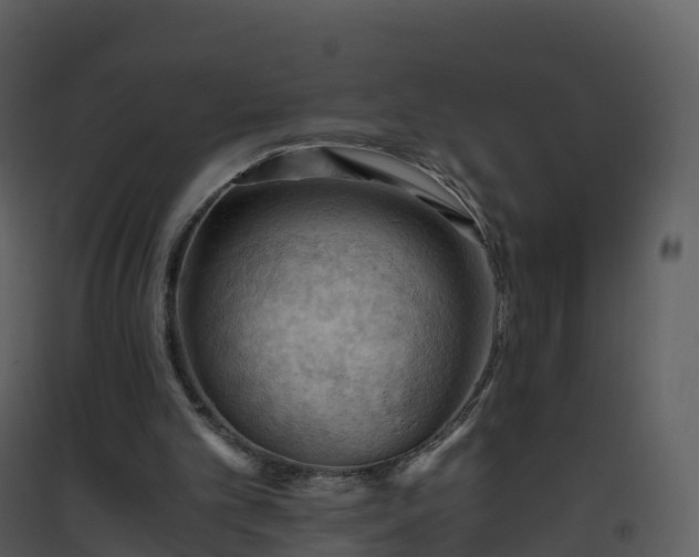 X0000096640101200802121119