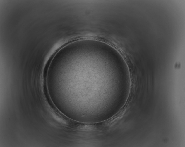 X0000096640102200802121119