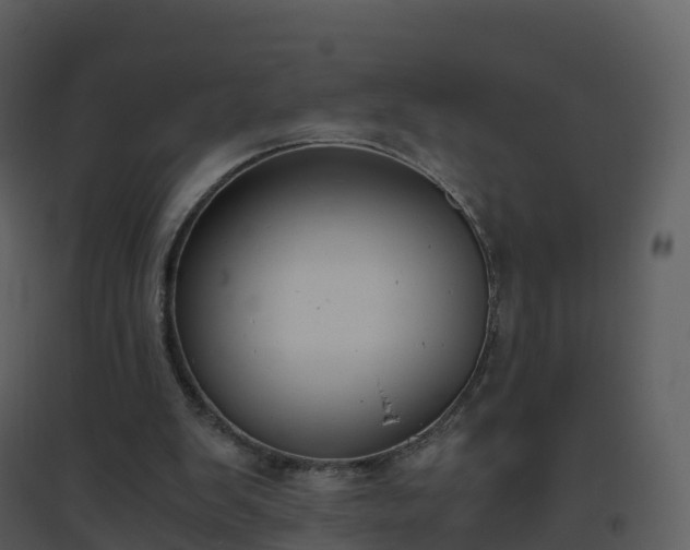 X0000096640103200802121119