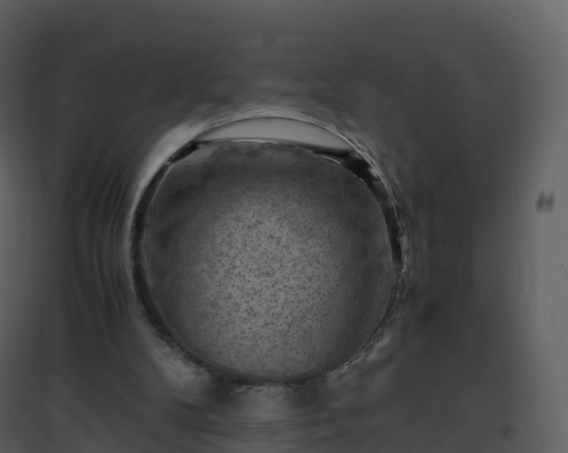 X0000096640104200802121119