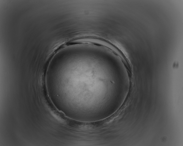 X0000096640105200802121119