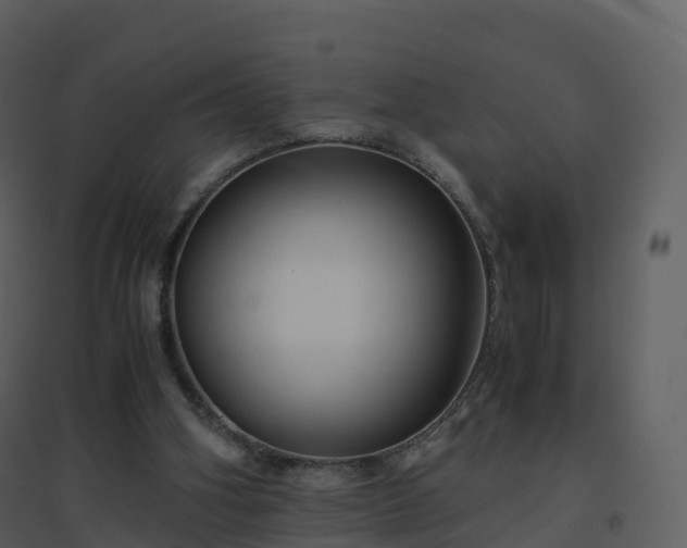 X0000096640106200802121119