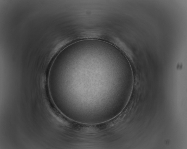 X0000096640107200802121119