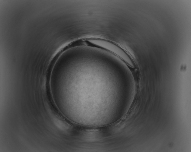 X0000096640108200802121119