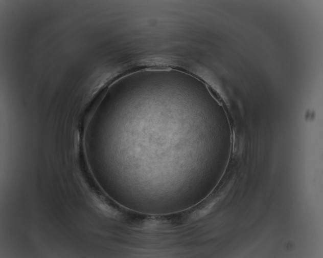 X0000096640109200802121119