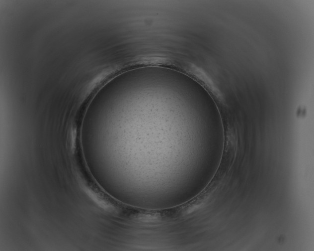 X0000096640110200802121119