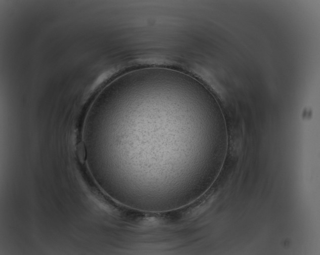 X0000096640111200802121119