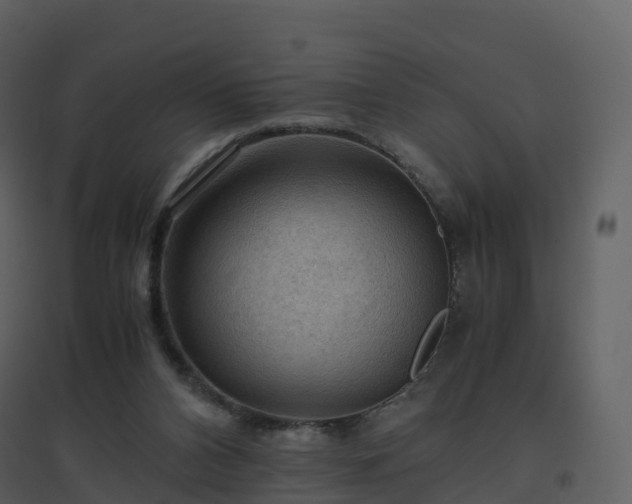 X0000096640112200802121119