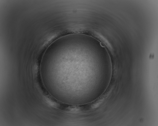 X0000096640113200802121119