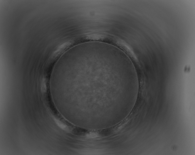 X0000096640114200802121119