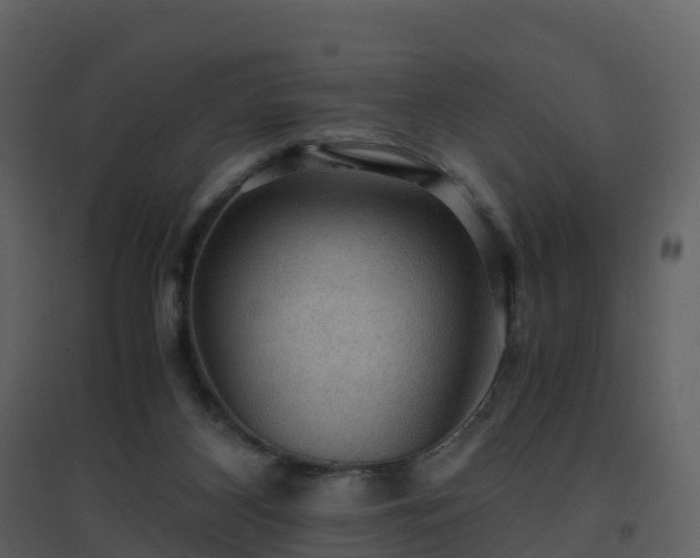 X0000096640116200802121119