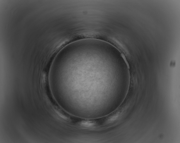 X0000096640117200802121119