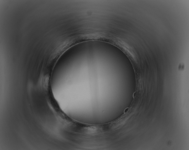 X0000096640118200802121119