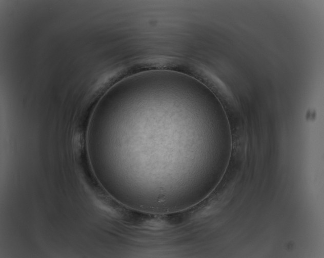 X0000096640119200802121119