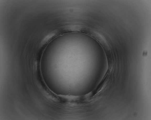 X0000096640120200802121119