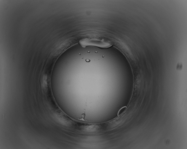 X0000096640122200802121119