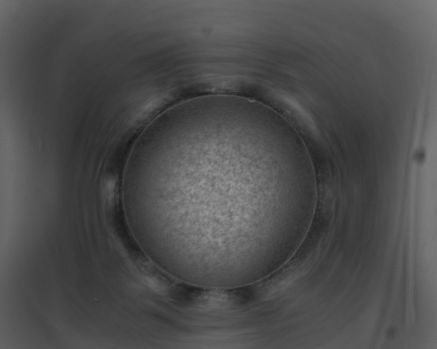 X0000096640123200802121119