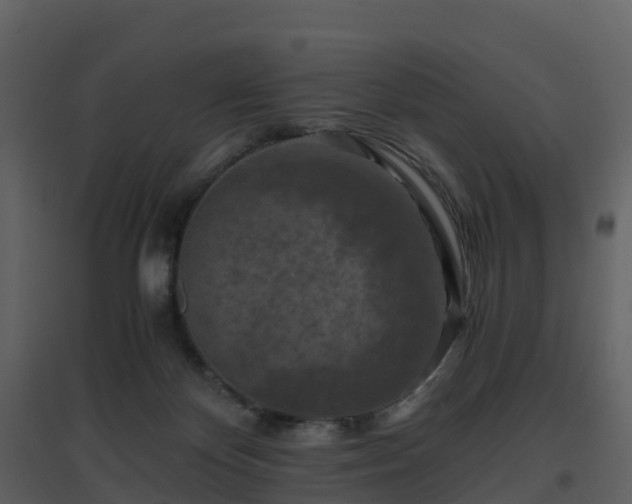 X0000096640124200802121119