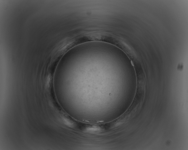 X0000096640125200802121119