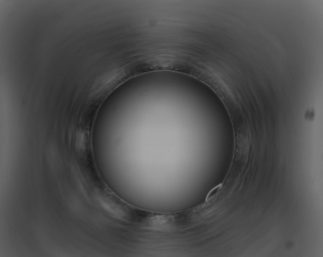 X0000096640126200802121119