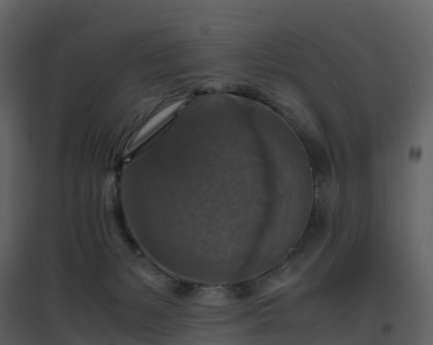 X0000096640127200802121119